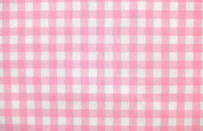 Read more about the article Plaid Pale Pink