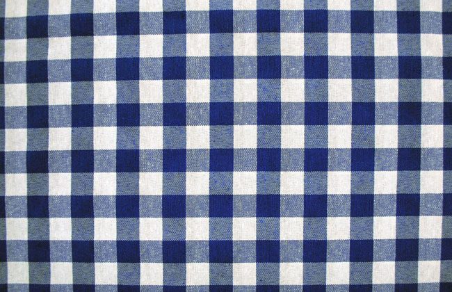 Read more about the article Blue Plaid
