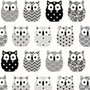 Mini Owls 10.10.0039 (En)