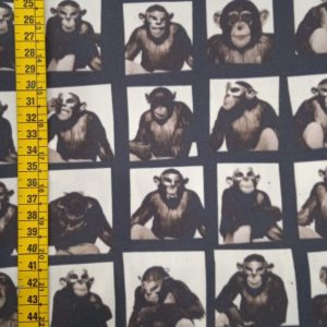 Chimpanzee 12.09.0172 (En)