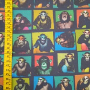 Chimpanzee Color 12.09.0173 (En)