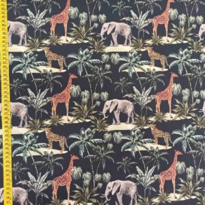 Savanna 12.09.0301
