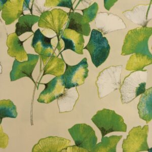 OUTDOOR-GINGO BILOBA
