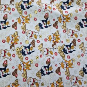 SHIBA COLOR BLANC16